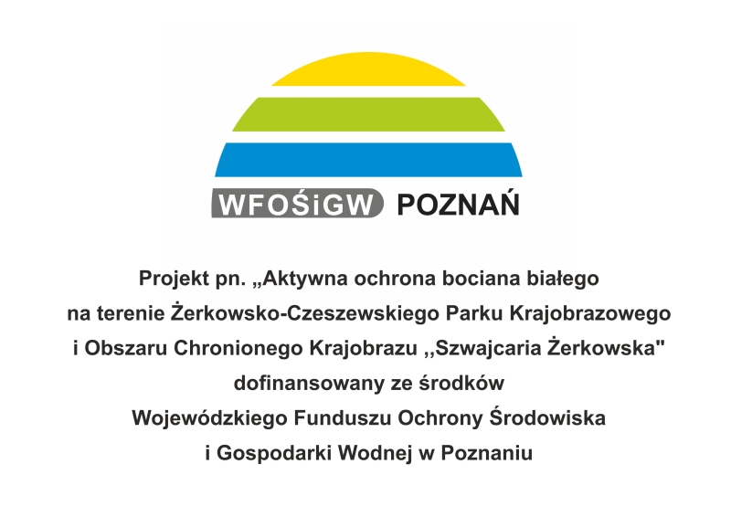 projekt