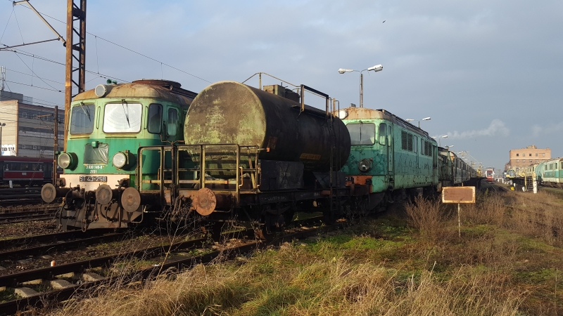 Nadzór przyrodniczy modernizacja lini kolejowej