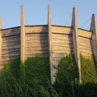 Ekspertyza ornitologiczna