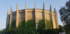 Ekspertyza ornitologiczna