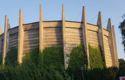 Ekspertyza ornitologiczna