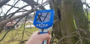 Ekspertyza ornitologiczna Wolsztyn