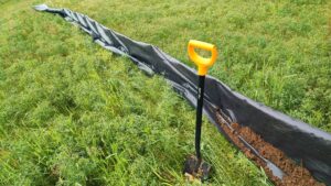 płotek herpetologiczny