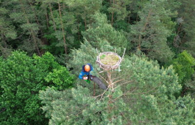 montaz platrofrmdla rybołowa